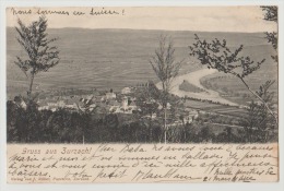 CPA Suisse Bad Zurzach Gruss Aus Zurzach 1903 Verlag Von J. Räber Papeterie - Bad Zurzach