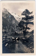 Seebachtal Bei Mallnitz Mit Ankogel, Gelaufen 1921 - Mallnitz