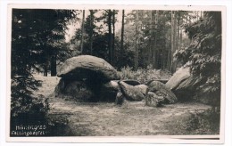 D4960  BAD FALLINGBOSTEL : Hünengrab ( Hunnenbed)(RPPC) - Fallingbostel