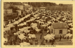 Chatillon En Bazois Une Foire Au Mois De Mars (bovins) - Chatillon En Bazois