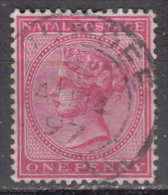 Natal    Scott No   67    Used    Year  1882 - Natal (1857-1909)