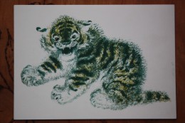 OLD USSR Postcard  - Charushin "Little Tiger"  1989 - Tigers