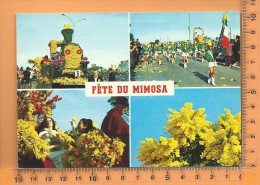 CPM, NICE: Fête Du Mimosa Multi Vues - Markets, Festivals
