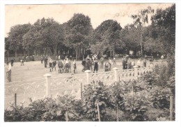 Momignies Pensionnat ST De La Salle  Cours De Récréation ( Voir état ) - Momignies