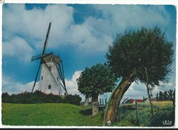 Molen - Damme - Stemmig Hoekje - Damme