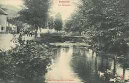 Nov14 776: Poissons  -  Le Rongeant - Poissons