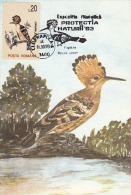 10524- BIRDS, HOOPOE, MAXIMUM CARD, 1993, ROMANIA - Climbing Birds