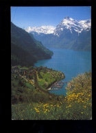 SISIKON Uri : Am Vierwaldstättersee 1991 - Sisikon