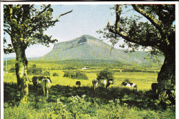 EIRE / IRLAND - SLIGO, Ben Bulben Mountain - Sligo