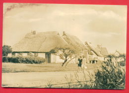 159133 /  Vitte ( Hiddensee ) - HOUSE WOMAN - Germany Deutschland Allemagne Germania - Hiddensee