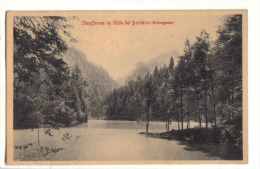 Dornbirn 1911 - Stauffensee Im Gütle - Dornbirn