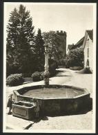 REGENSBERG Oberburger Brunnen Schlossturm Dielsdorf Ca. 1950 - Dielsdorf