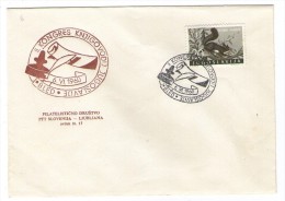 JUGOSLAVIJA YUGOSLAVIA COMMEMORATIVE COVER POSTMARK BLED 1960 KONGRES KNJIGOVODIJ CONGRESS BOOKKEPEERS - Covers & Documents