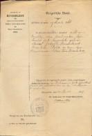 Gemeente Ruiselede Uittreksel Geboorteakte A. Maenhout 1919 - Birth & Baptism