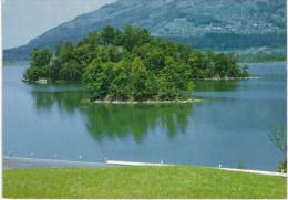 Suisse - Lac De Lauerz Lauerzersee 1988 - Lauerz