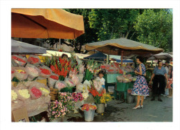 Nice: Le Marche Aux Fleurs (15-215) - Markets, Festivals
