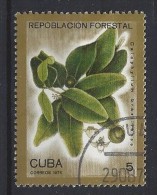 Cuba  1975  Reafforestation  (o)  5c - Oblitérés