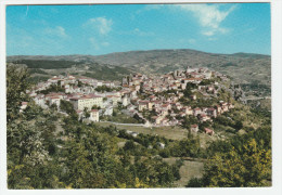 CASTROPIGNANO CAMPOBASSO PANORAMA F/G VIAGGIATA - Sonstige & Ohne Zuordnung