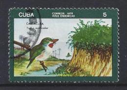 Cuba  1976  Birds: Cuban Tody  (o)  5c - Oblitérés