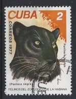 Cuba  1977  Cats In Havana Zoo  (o)  2c - Oblitérés