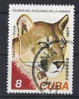 Cuba  1977  Cats In Havana Zoo  (o)  10c - Oblitérés