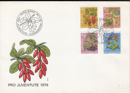 R57729- MEDICINAL PLANTS, FLOWERS, BERRIES, COVER FDC, 1976, SWITZERLAND - Plantes Médicinales