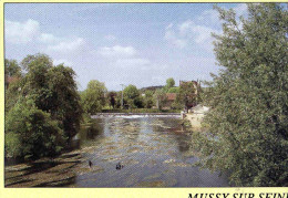 CPM   Mussy Sur Seine - Mussy-sur-Seine