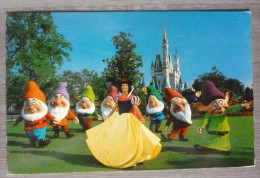 DISNEYWORLD.USA.BLANCHE-NEIGE ET LES 7 NAINS.SNOW WHITE.CIRCULE 1989.TIMBRE USA. - Disneyworld