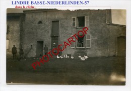 LINDRE BASSE-NIEDERLINDEN-Carte Photo Allemande-Guerre 14-18-1WK-France-57- - Dieuze