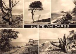 BG996 Kuste Am  Darss   CPSM 14x9.5cm Germany - Fischland/Darss