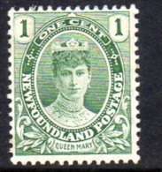 Newfoundland Canada 1911 1c Queen Mary, Hinged Mint - 1908-1947