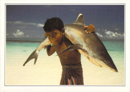 Asie > MALDIVES  (A) Islands White Tipped Shark Carried By A Young Child (enfant -requin à Pointe Blanche)   *PRIX FIXE - Maldiven