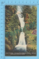 US-Oregon ( Bridal Veil Falls 180 Feet Columbia River Highway,  CPSM    Linen Postcard ) Recto/Verso - Otros & Sin Clasificación