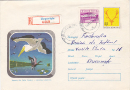 5091A PELICANS, 1971, REGISTRATE, COVER STATIONARY, SEND TO MAIL, ROMANIA - Pélicans