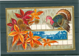 Relief - Gaufrée - Embossed - Prage - Dinde - TBE - Thanksgiving