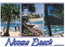 (456) Australia - QLD - Noosa Beach - Sunshine Coast