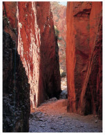 (345) Australia - NT - Standley Chasm - Alice Springs