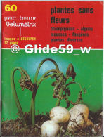 Livret éducatif Volumétrix - N° 60 - Plantes Sans Fleurs - Champignons - Algues - Mousses - Fougères - Plantes Diverses - Didactische Kaarten