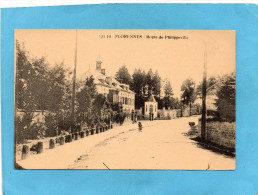 FLORENNE -Route De Philippeville-animée   -années 1910-20 - Florennes