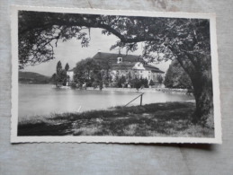 Austria  Schloss Kammer Am Attersee  D123870 - Attersee-Orte