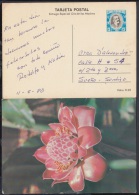 1980-EP-5 CUBA 1980. Ed.125f. MOTHER DAY SPECIAL DELIVERY. ENTERO POSTAL. POSTAL STATIONERY. ROSAS. ROSE. FLOWERS. FLORE - Nuevos