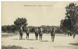 CPA (hippisme B2) MAISONS LAFFITTE  Chevaux A L Entrainement - Paardensport