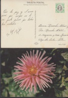 1976-EP-5 CUBA 1976. Ed.119a. ENTERO POSTAL. POSTAL STATIONERY. MOTHER DAY SPECIAL DELIVERY. ROSAS. ROSE. FLOWERS. FLORE - Briefe U. Dokumente