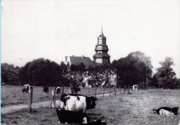 Meerbusch Büderich - S/w Dyckhof - Meerbusch