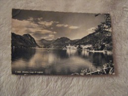 Svizzera - Canton Ticino - Brusino Arsizio - Lago Di Lugano 1962 Animata - Brusino Arsizio