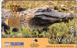 ARGENTINE ARGENTINA CROCODILE YACARE NEGRO 100U UT - Crocodiles And Alligators