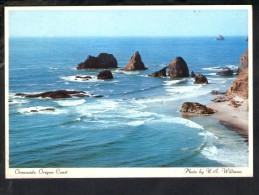 J1374 Oceanside, Oregon Coast - Usa - Photo By A. Williams - Pubblished By Smith Western - Otros & Sin Clasificación