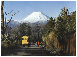 (75) New Zealand - Mt Ngauruhoe - Mariannes