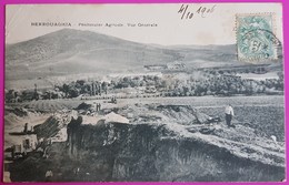 Cpa Berrouaghia Pénitencier Agricole Vue Générale 1906 Carte Postale Algérie - Autres & Non Classés