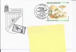 Briefkaart Met Zegel 2419    (201250) - Herdenkingsdocumenten